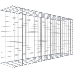 Gabiona Gabione-Anbaukorb Typ 2 100 x 200 x 40 cm Maschenw 10 x 10 cm
