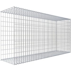 Gabiona Gabione-Anbaukorb Typ 2 100 x 200 x 50 cm Maschenw 5 x 10 cm