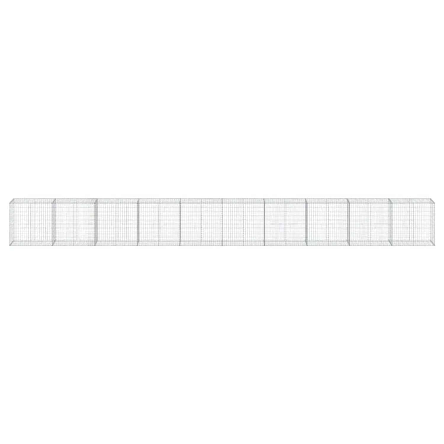 vidaXL Gabione mit Deckel 1000x50x100 cm Eisen 2149659