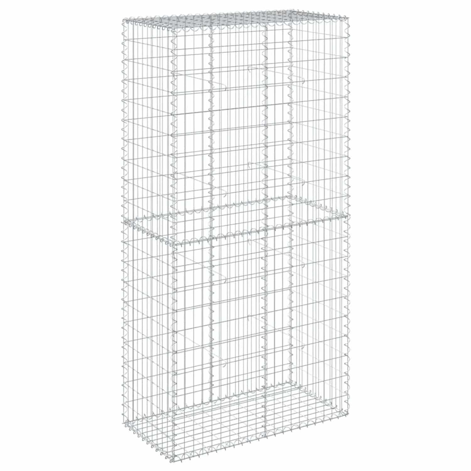 vidaXL Gabione mit Deckel 100x50x200 cm Eisen 2149663