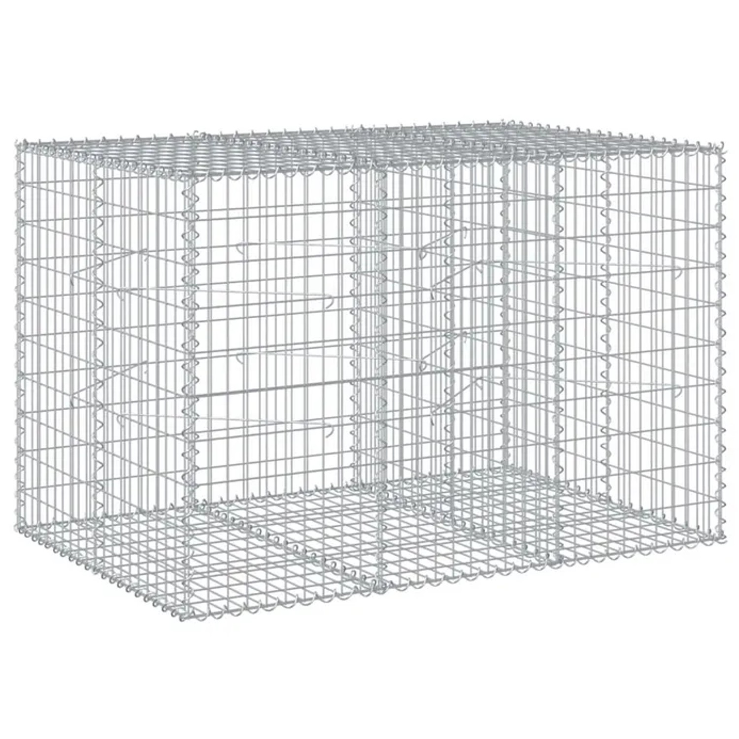 vidaXL Gabione mit Deckel 150x100x100 cm Eisen 2149658